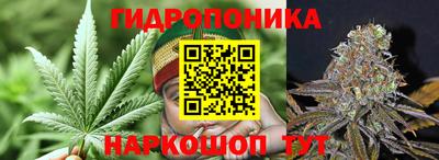 тгк Краснодар