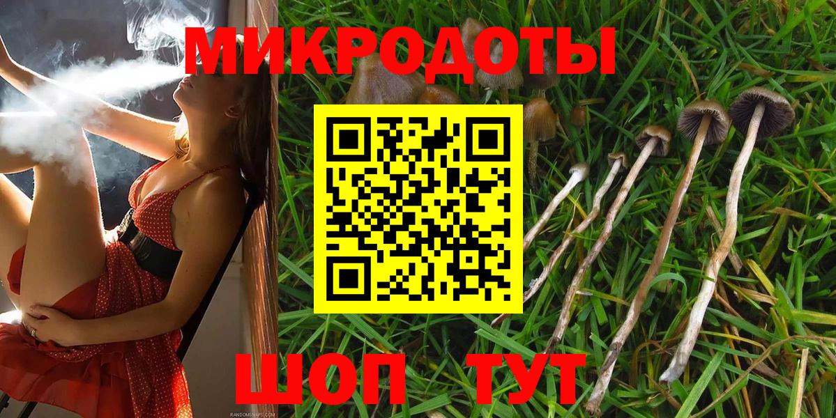 Псилоцибиновые грибы мицелий  Вход с VPN  Псилоцибиновые грибы Cubensis  Керчь 
